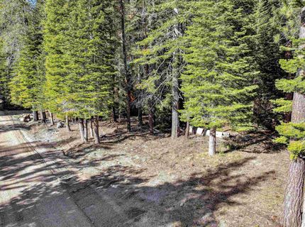 7898 River Road, Tahoe City, CA 96145 Photo