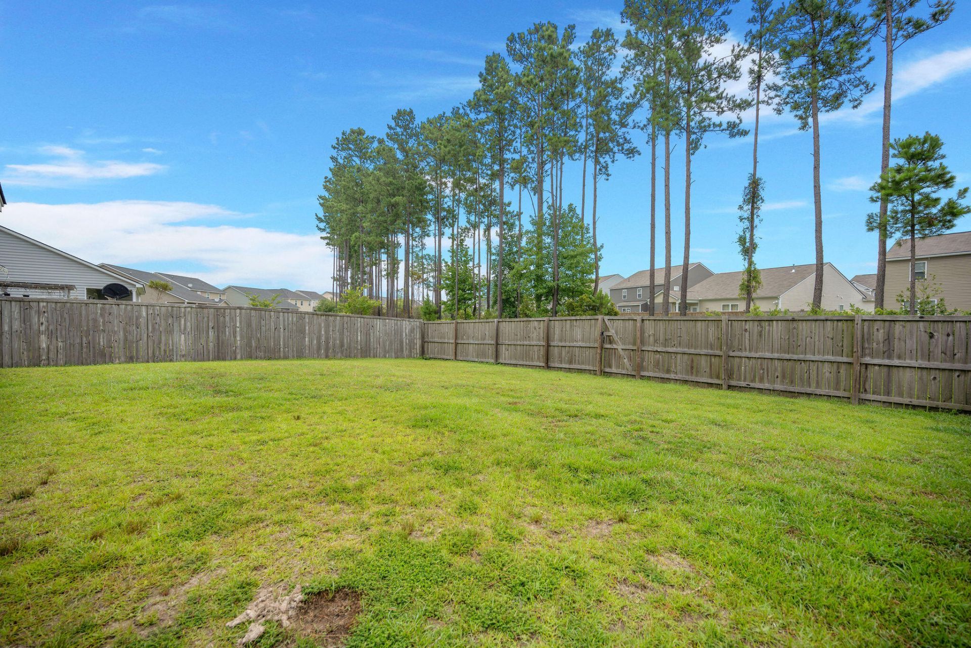 694 Redbud Lane Photo 20