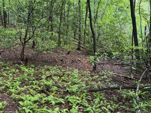 Lot 68 Cherrywood Lane, Pisgah Forest, NC 28768