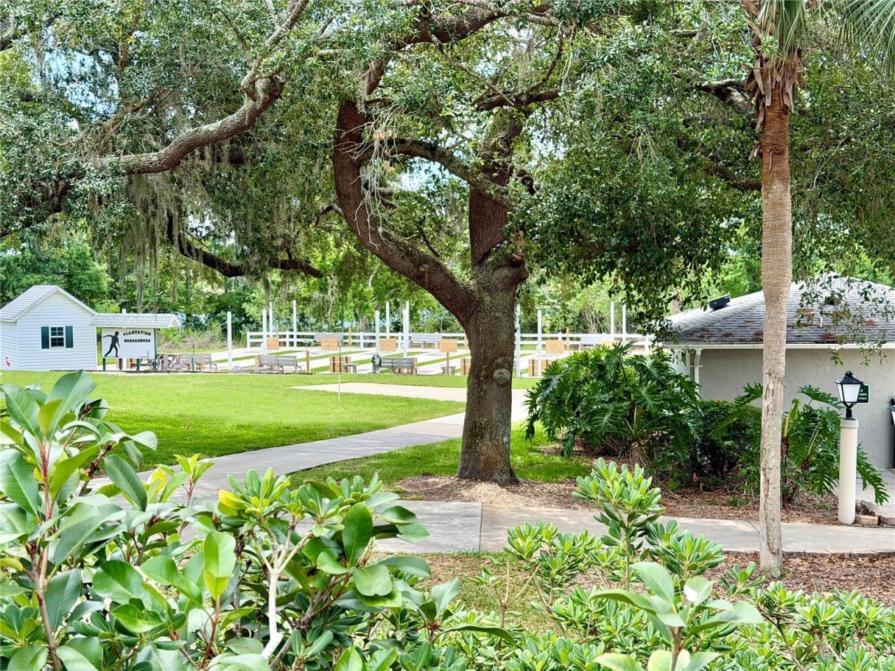 25510 Belle Alliance , Leesburg, FL 34748 Photo
