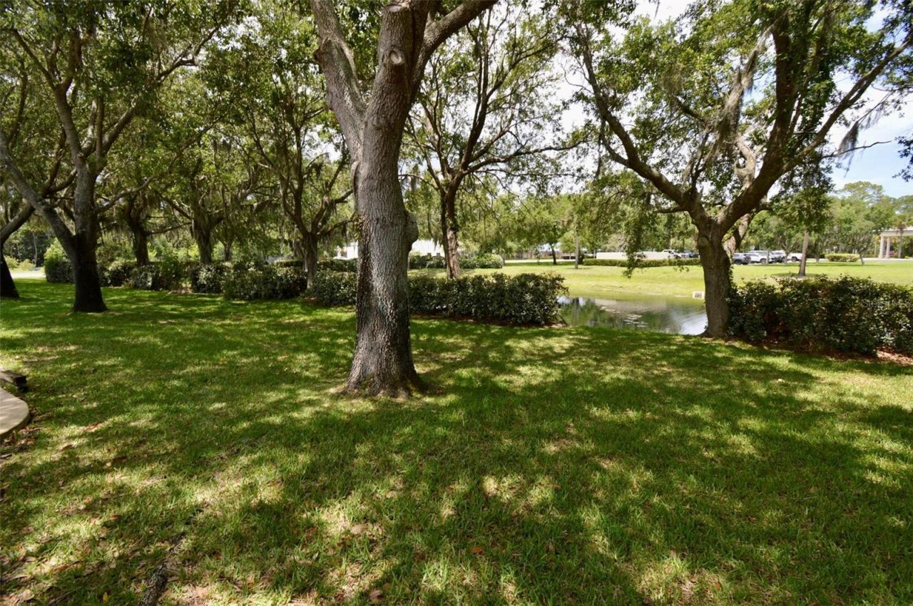 2251 Candlewood Lane E, New Smyrna Beach, FL 32168 Photo