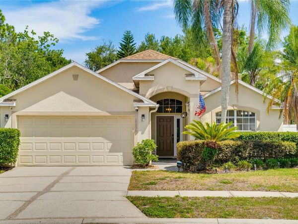 10236 CHARLESTON CORNER ROAD , TAMPA, FL 33635