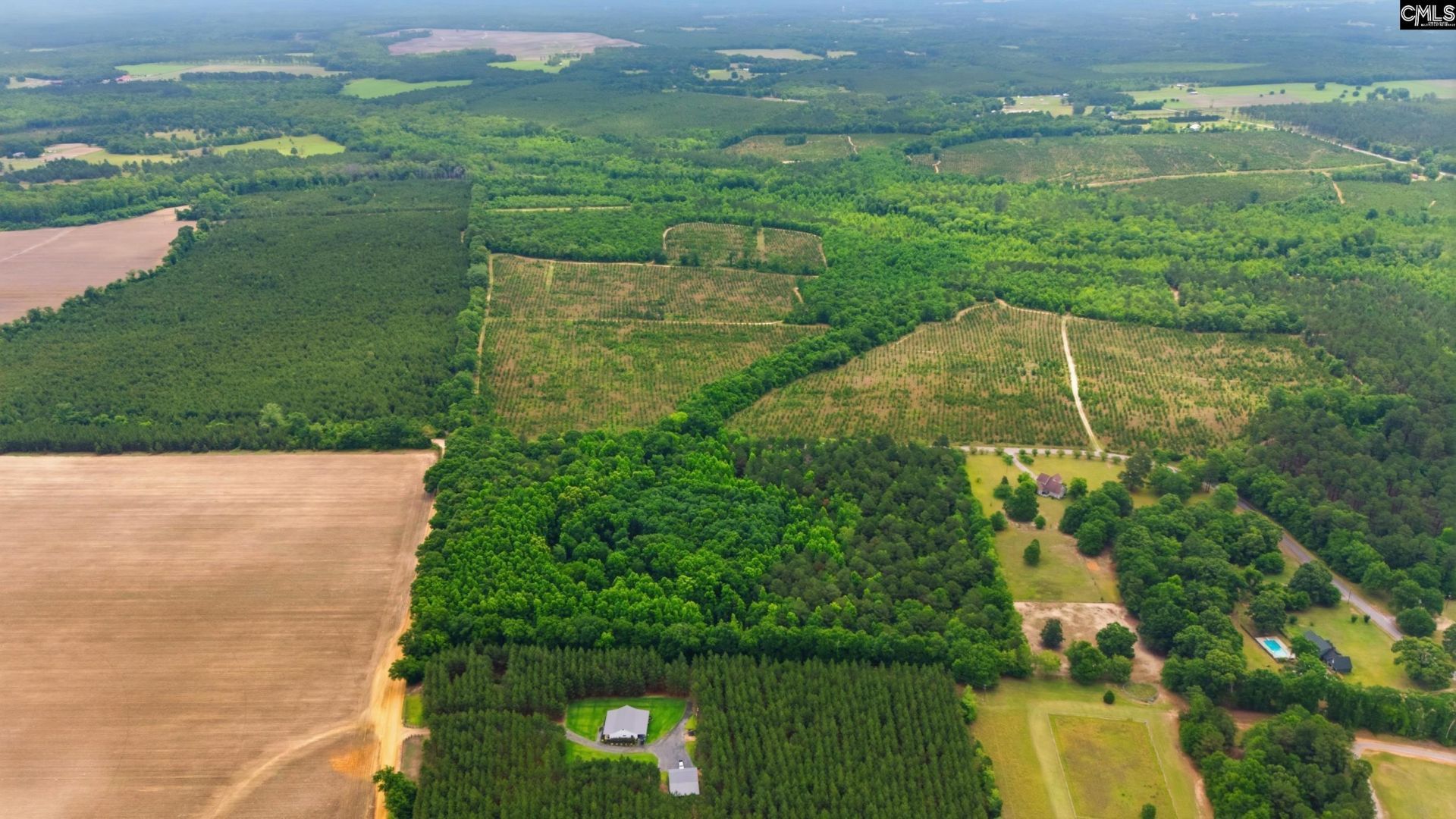 3 Toby Creek Road  Photo 14