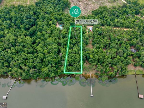 473 Vining Branch Road, Georgetown, GA 39854