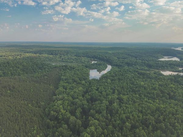 0 BUNCHES CHAPEL RD, Parsons, TN 38363