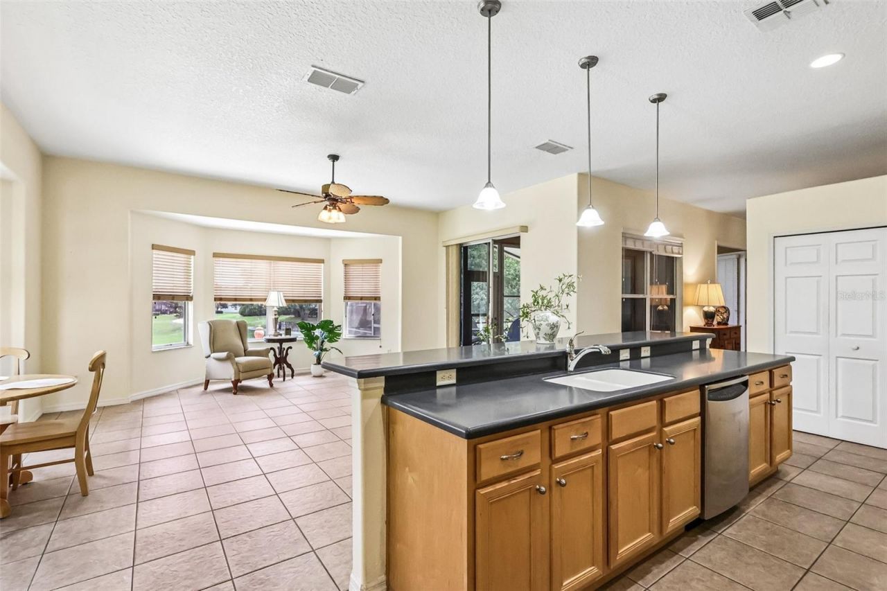 3538 Mulberry Grove Loop , Leesburg, FL 34748 Photo