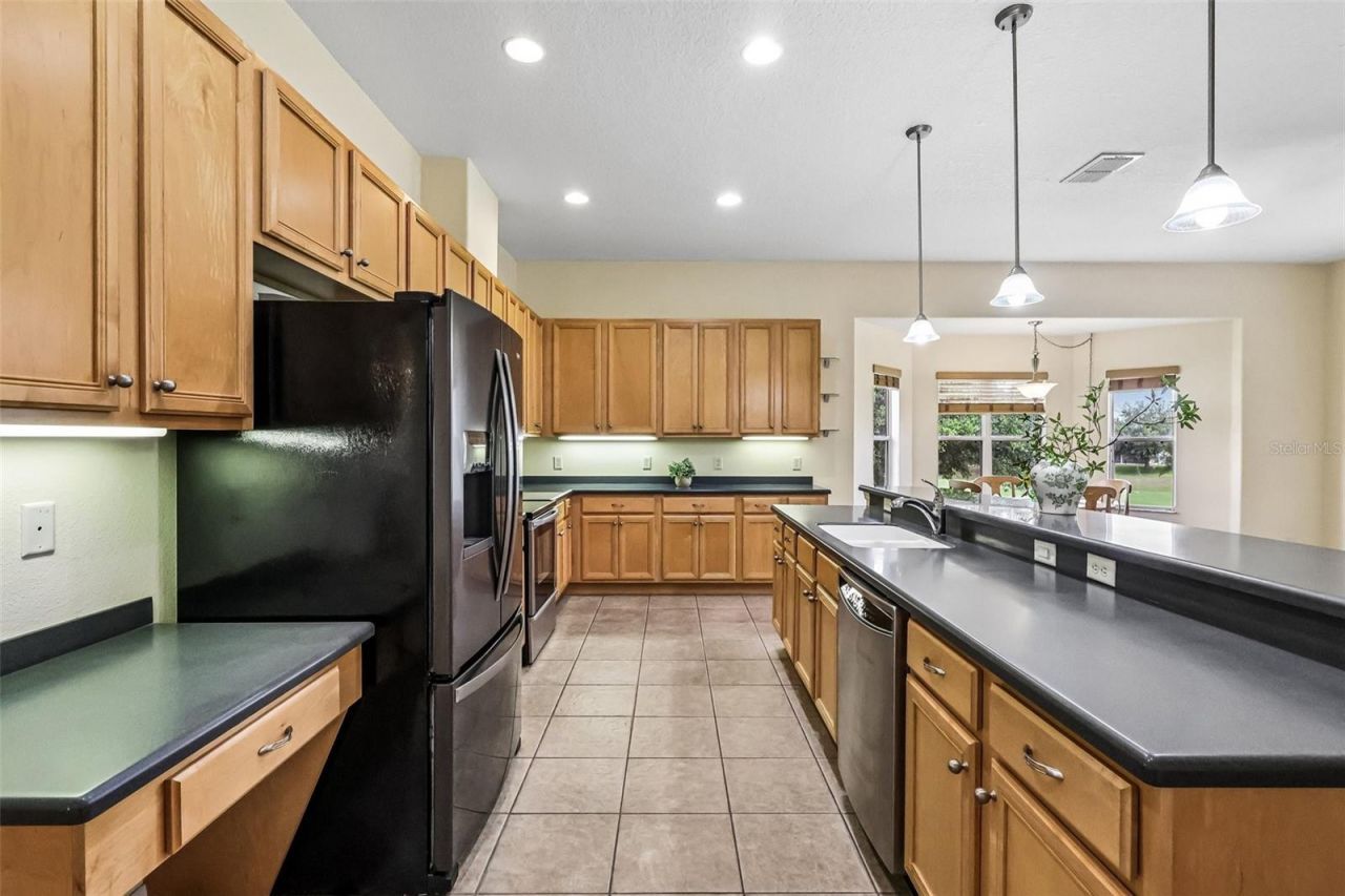 3538 Mulberry Grove Loop , Leesburg, FL 34748 Photo