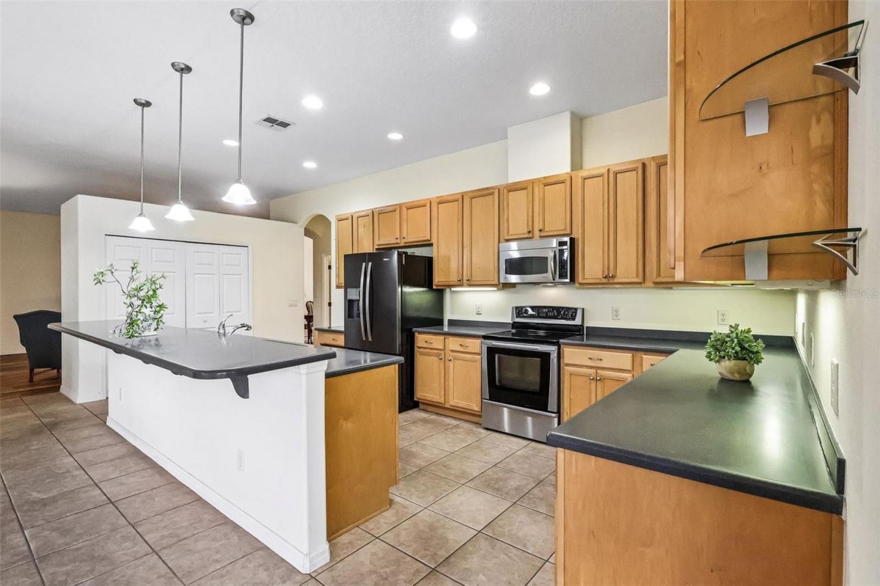 3538 Mulberry Grove Loop , Leesburg, FL 34748 Photo