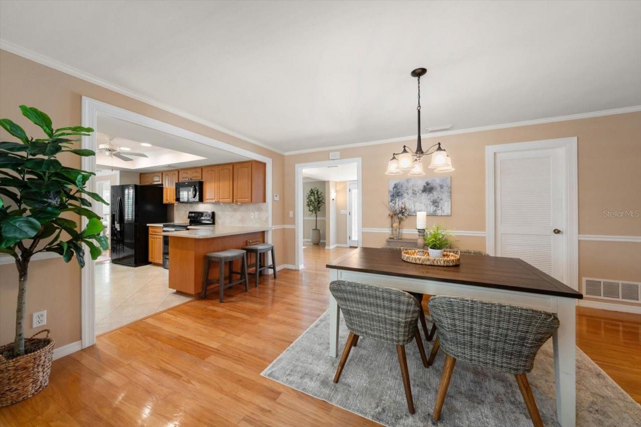 3330 San Domingo Street, Clearwater, FL 33759 Photo