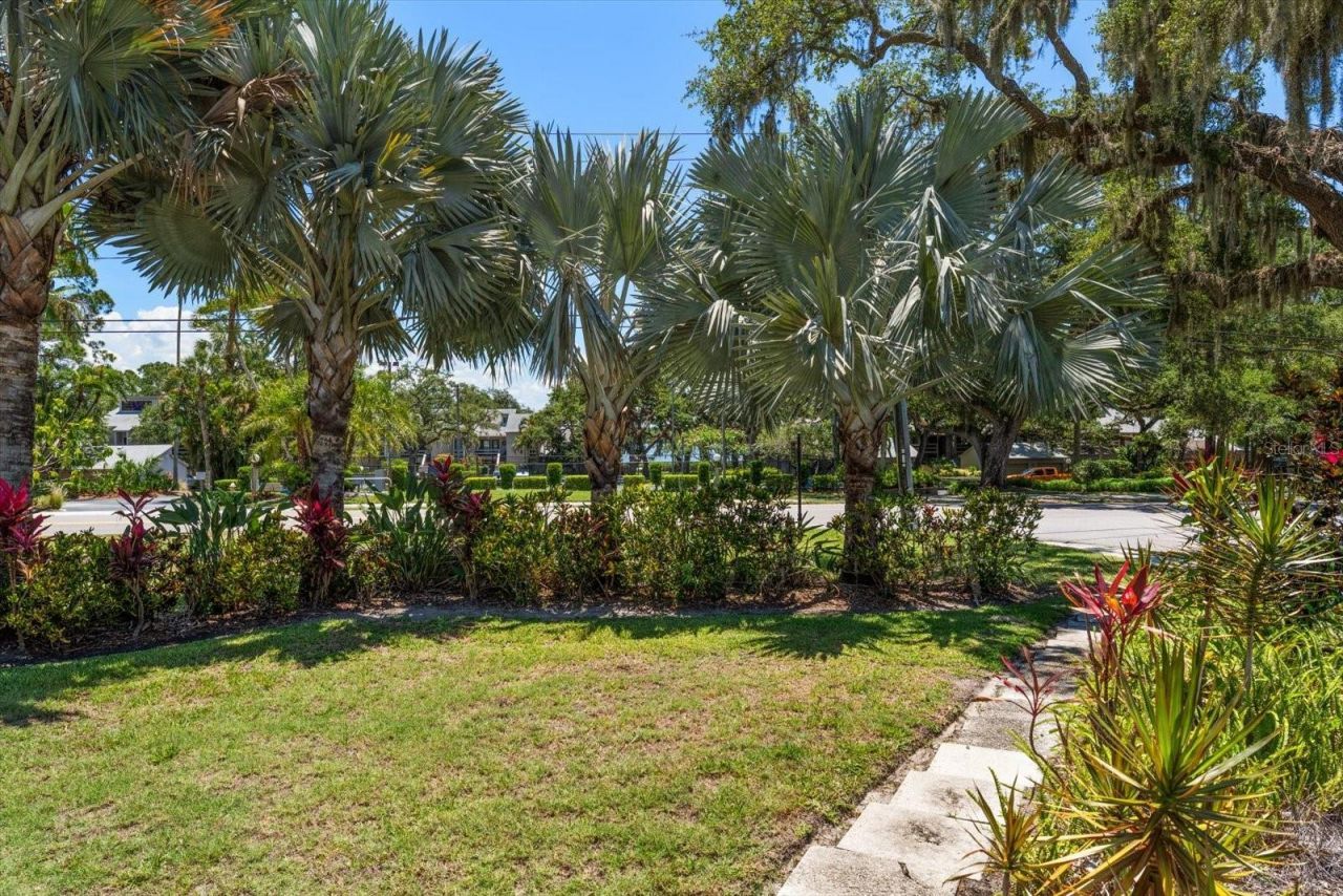 3330 San Domingo Street, Clearwater, FL 33759 Photo