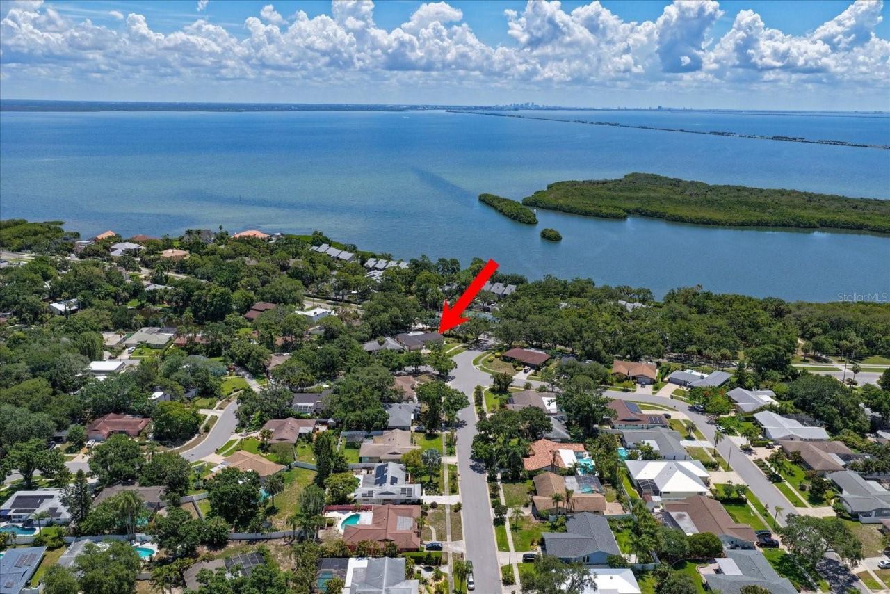 3330 San Domingo Street, Clearwater, FL 33759 Photo