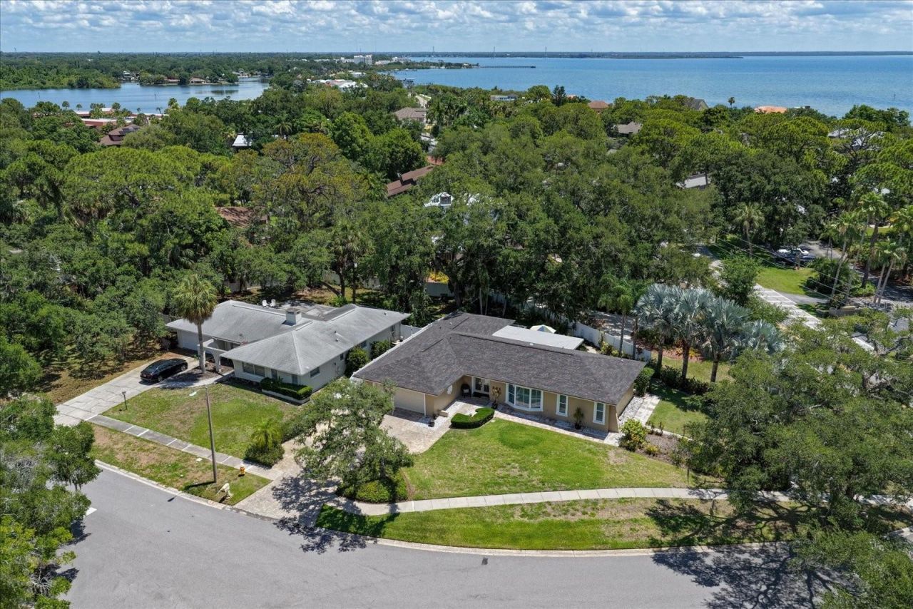 3330 San Domingo Street, Clearwater, FL 33759 Photo