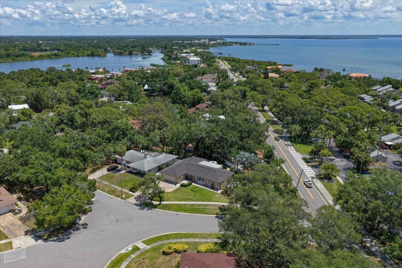 3330 San Domingo Street, Clearwater, FL 33759 Photo