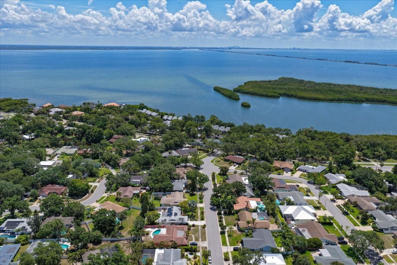 3330 San Domingo Street, Clearwater, FL 33759 Photo