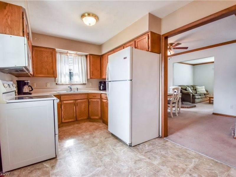 225 Burton Street, Fairport Harbor, OH 44077 Photo 13
