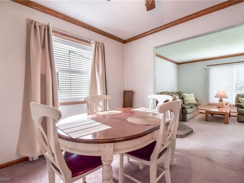 225 Burton Street, Fairport Harbor, OH 44077 Photo 9
