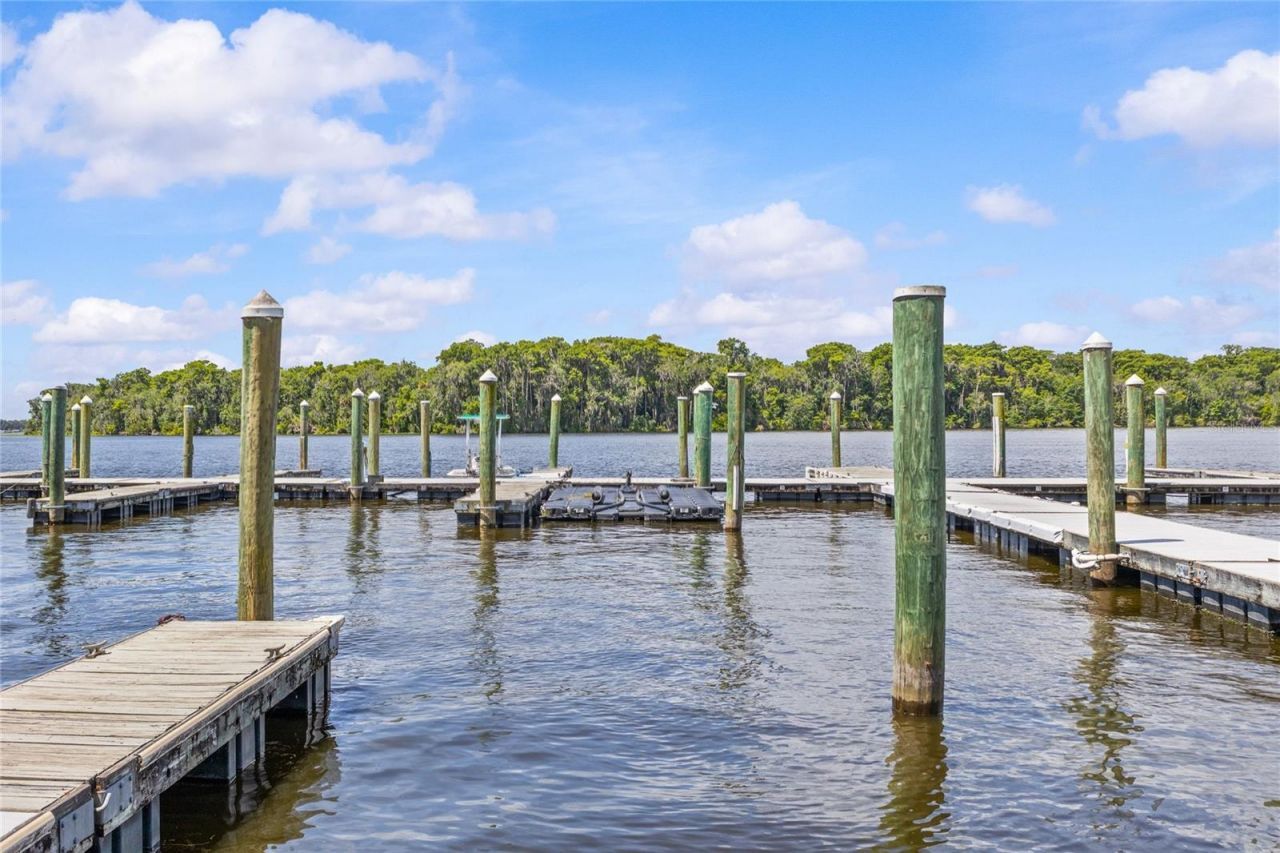 99 Broad River Place, Unit 3206, Welaka, FL 32193 Photo