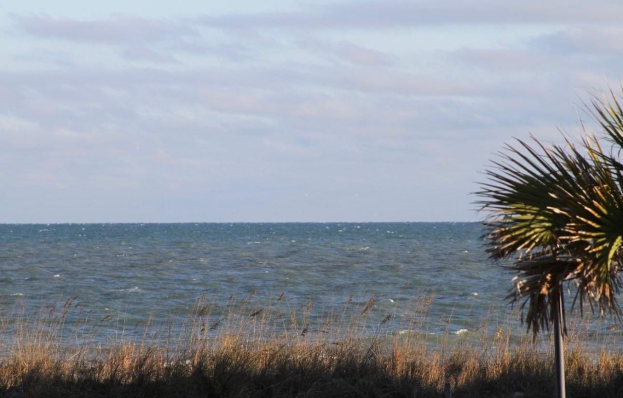 1914 Lark Dr.  Photo 47