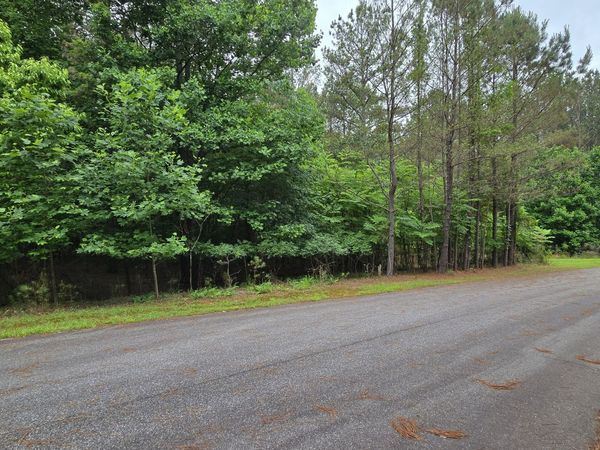 LOT 42 Loftis Mountain Way, Blairsville, GA 30512