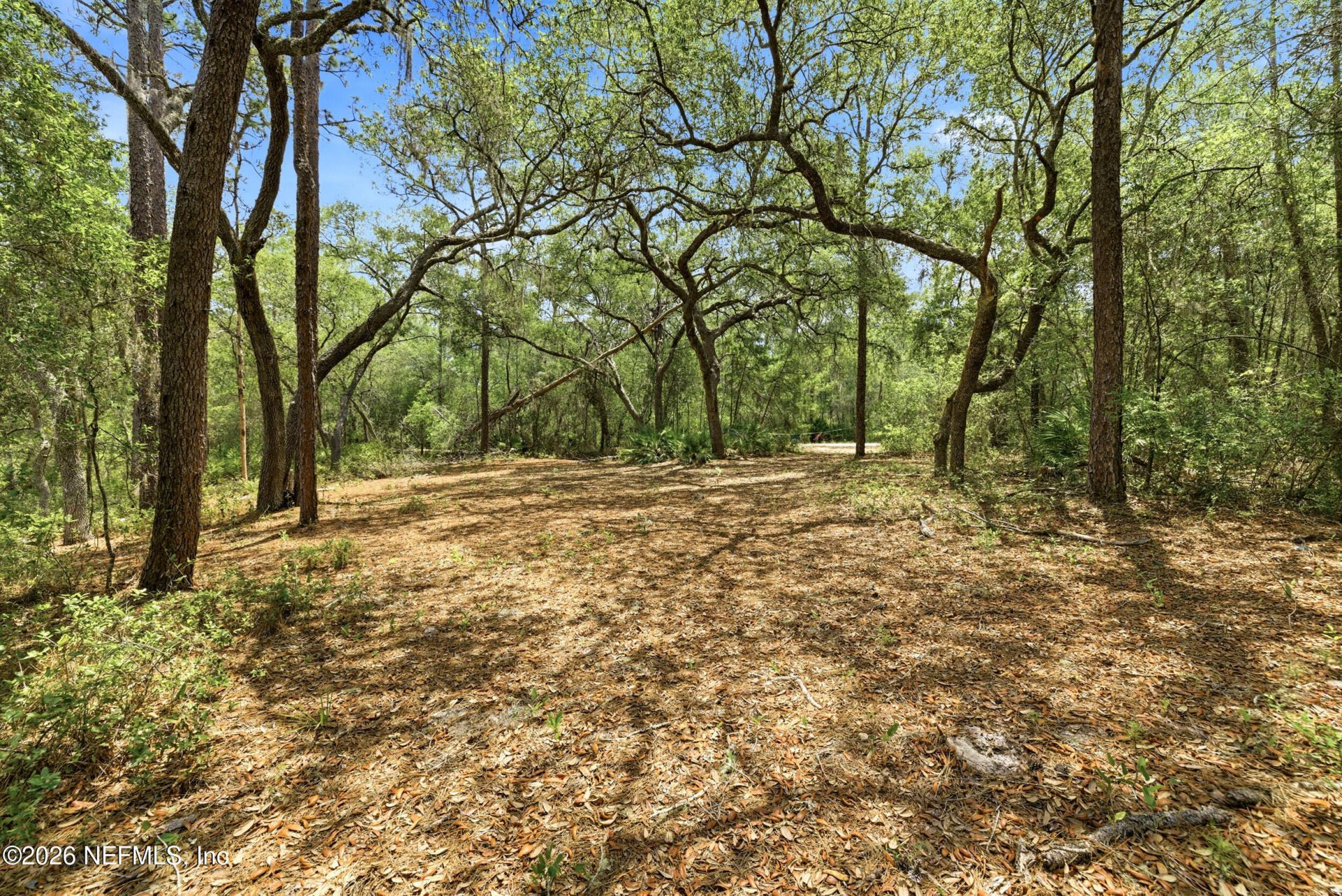 0 NE 115 Avenue Avenue, Fort Mccoy, FL 32134 Photo