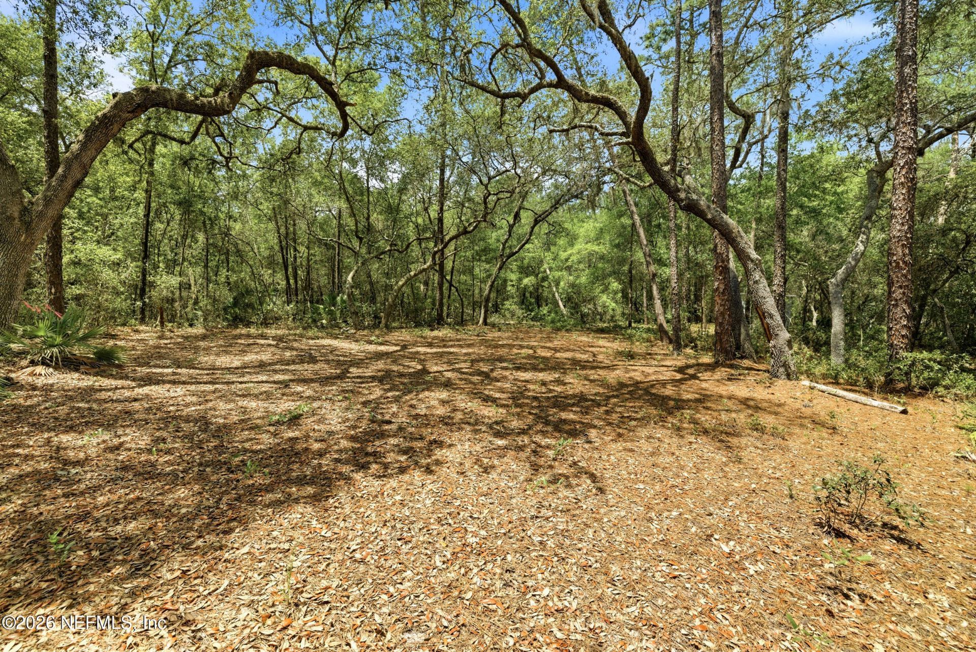 0 NE 115 Avenue Avenue, Fort Mccoy, FL 32134 Photo