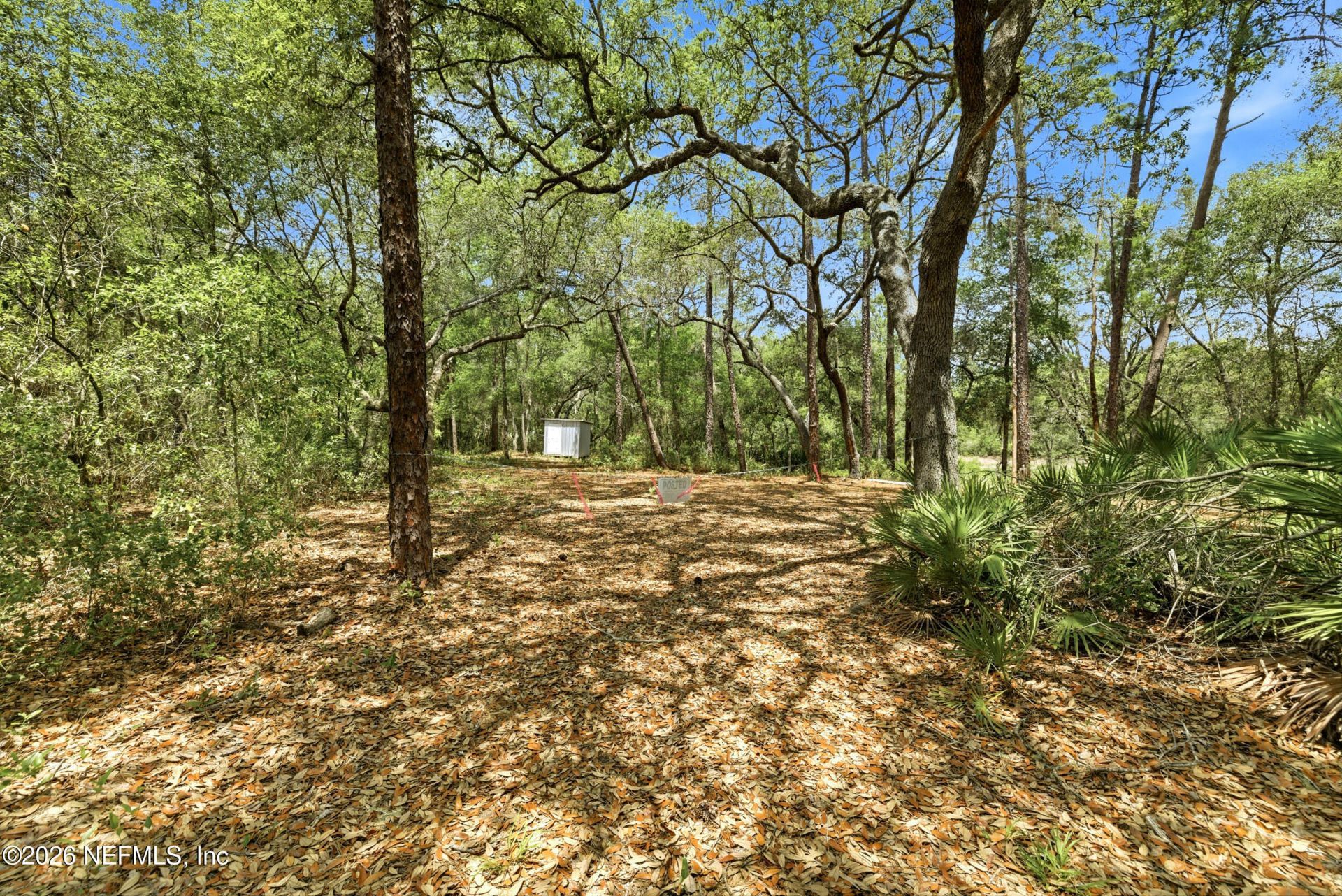 0 NE 115 Avenue Avenue, Fort Mccoy, FL 32134 Photo
