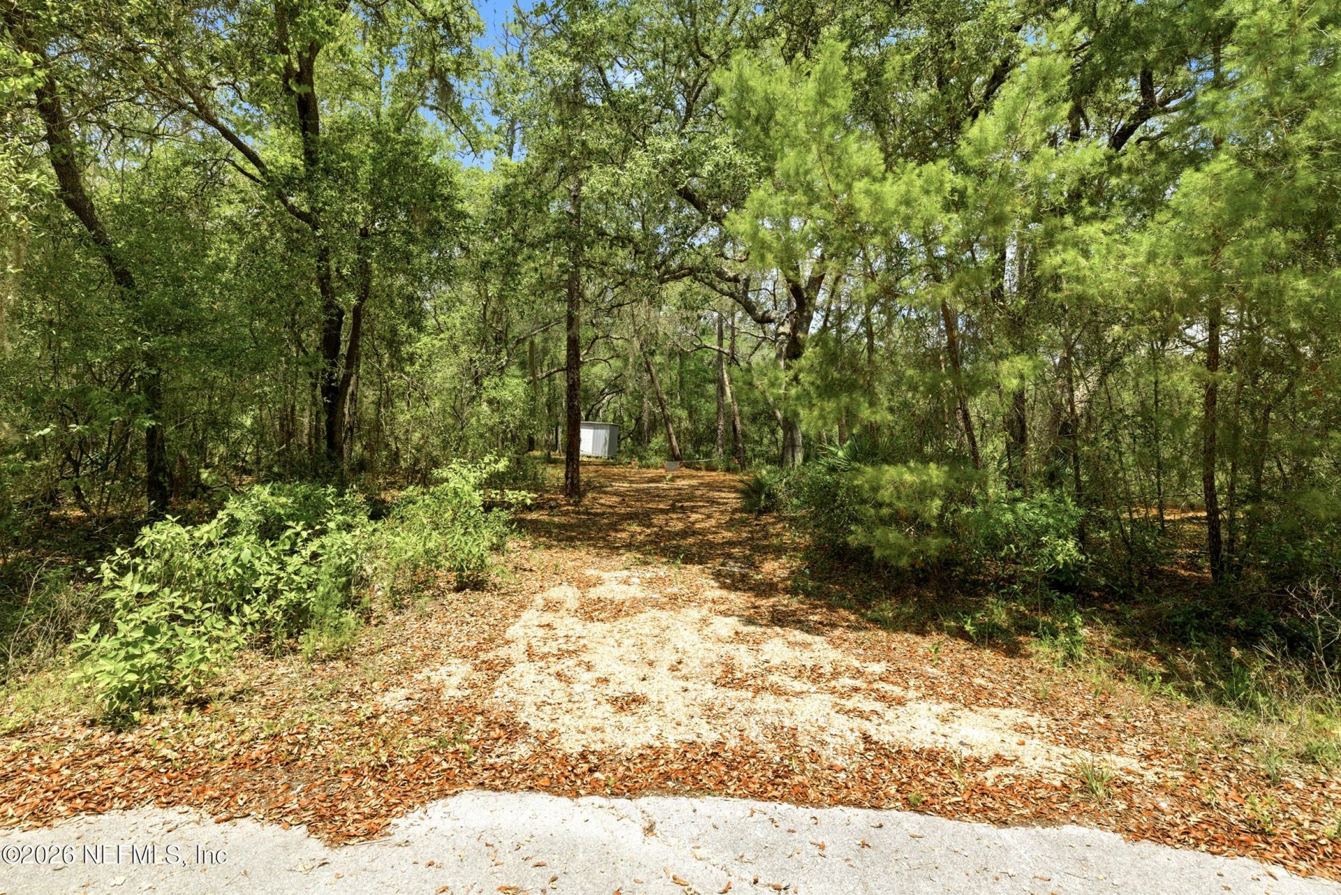 0 NE 115 Avenue Avenue, Fort Mccoy, FL 32134 Photo