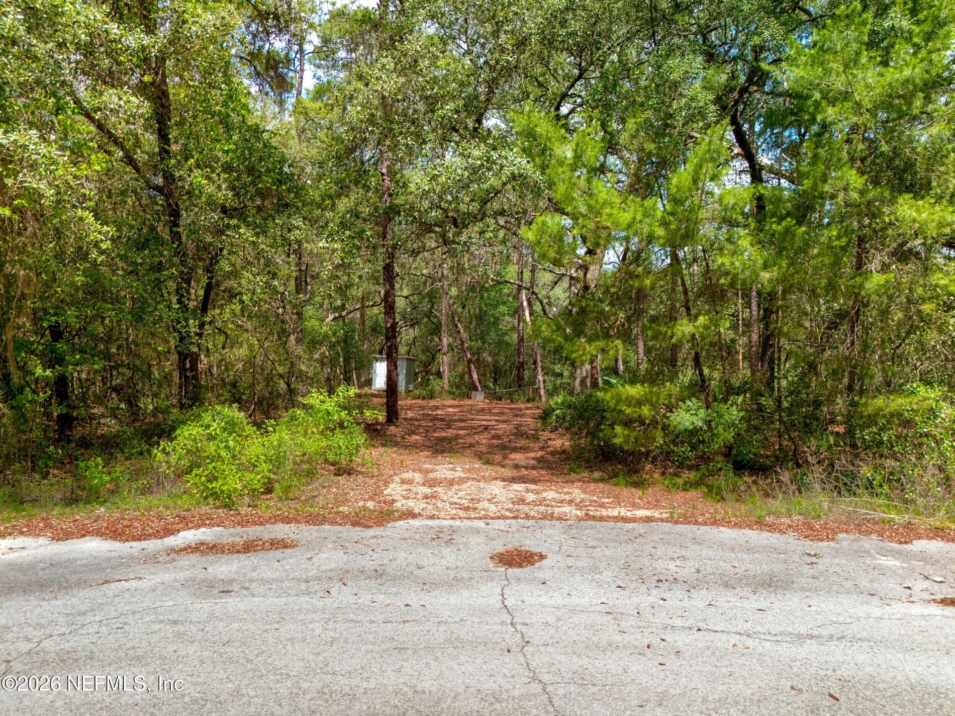 0 NE 115 Avenue Avenue, Fort Mccoy, FL 32134 Photo