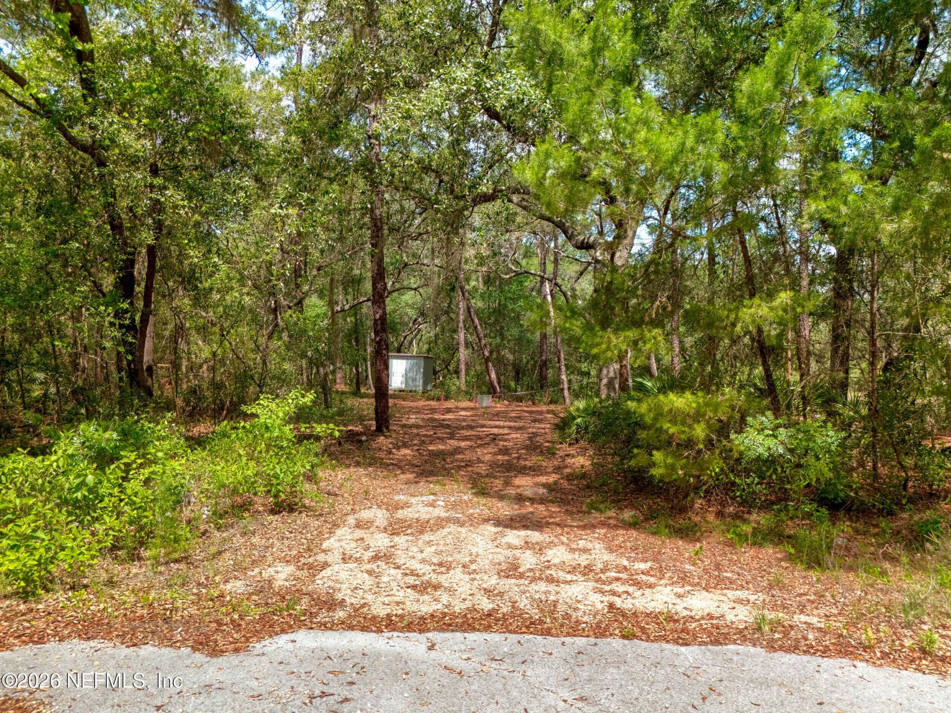 0 NE 115 Avenue Avenue, Fort Mccoy, FL 32134 Photo