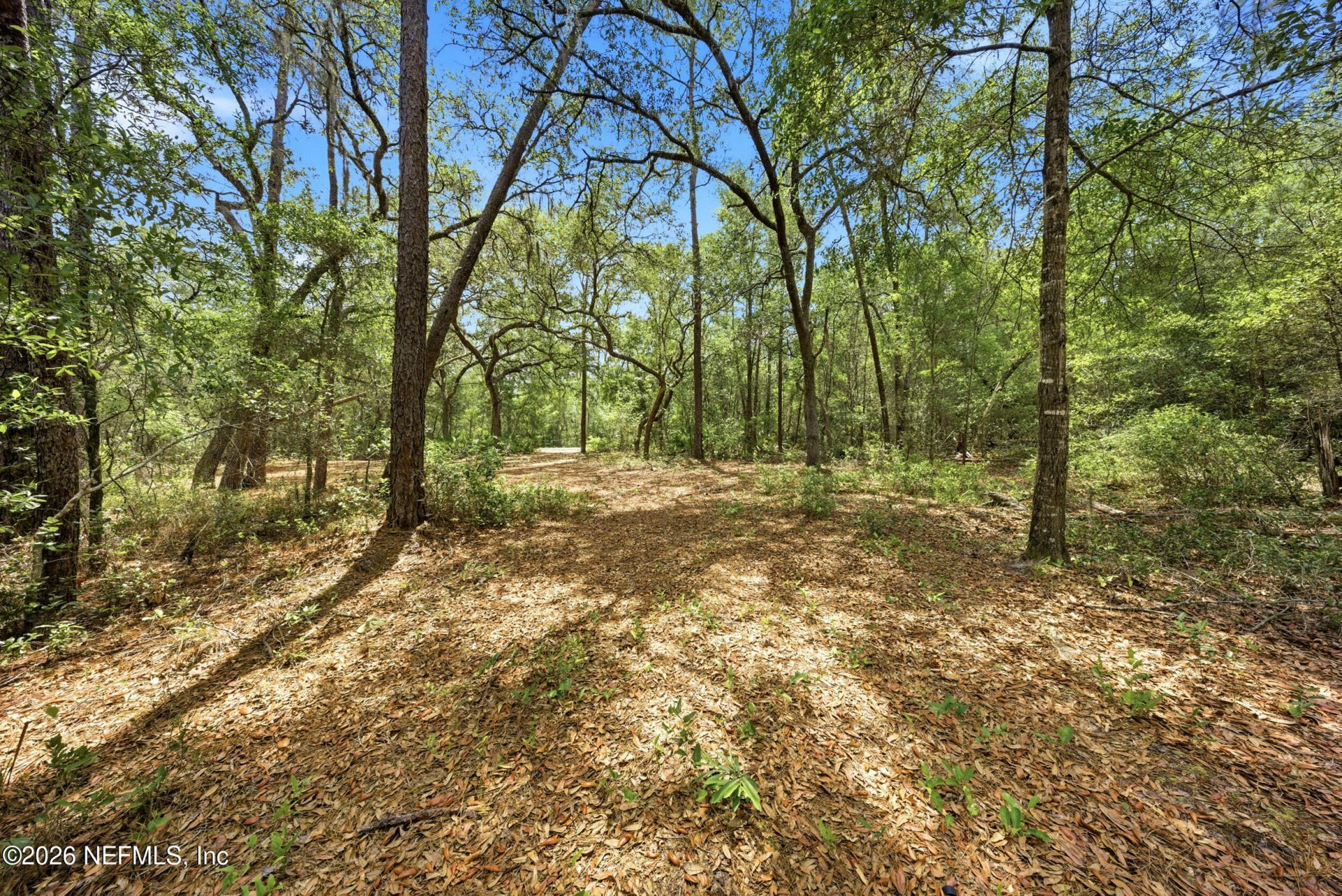 0 NE 115 Avenue Avenue, Fort Mccoy, FL 32134 Photo