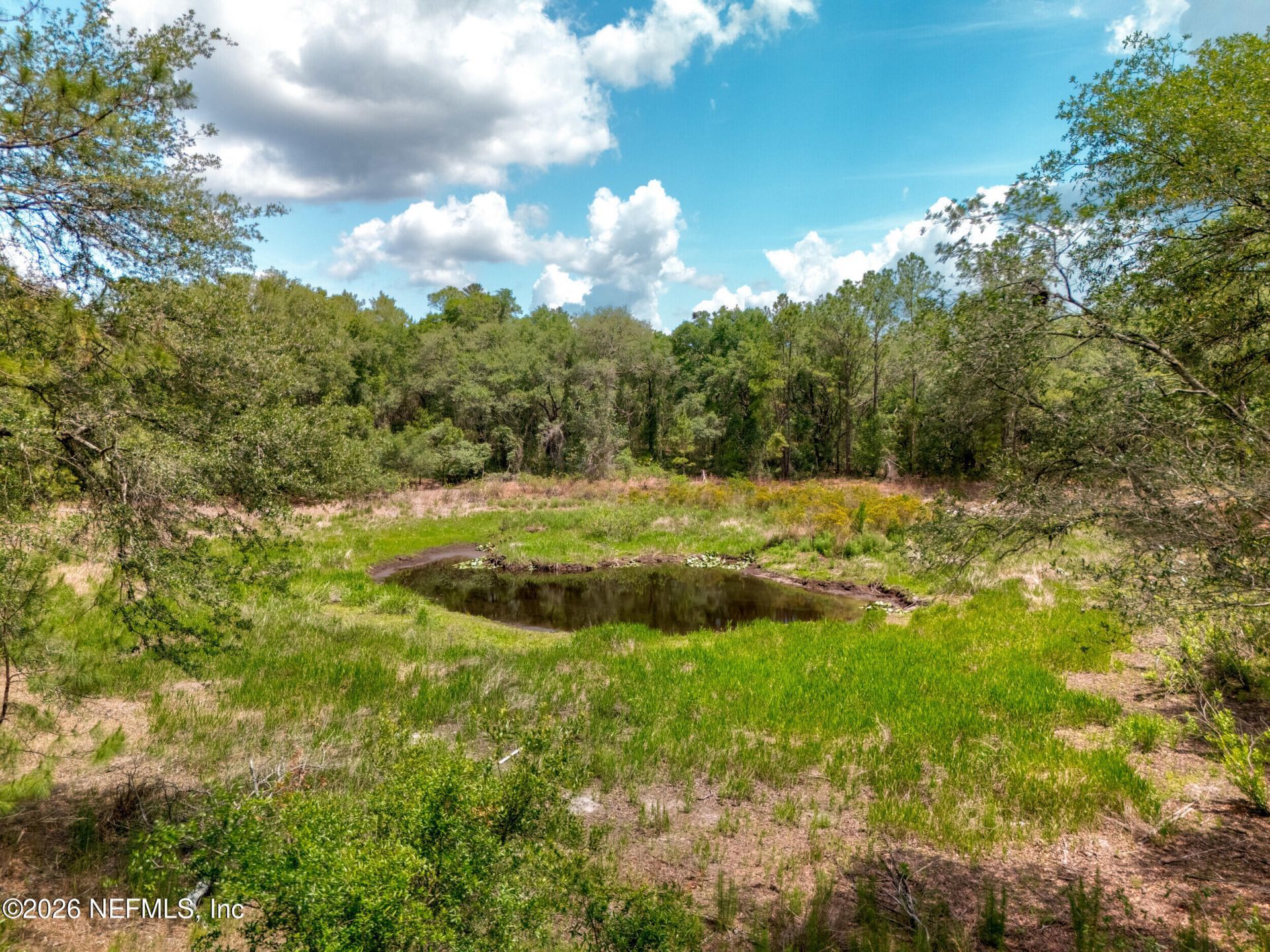 0 NE 115 Avenue Avenue, Fort Mccoy, FL 32134 Photo