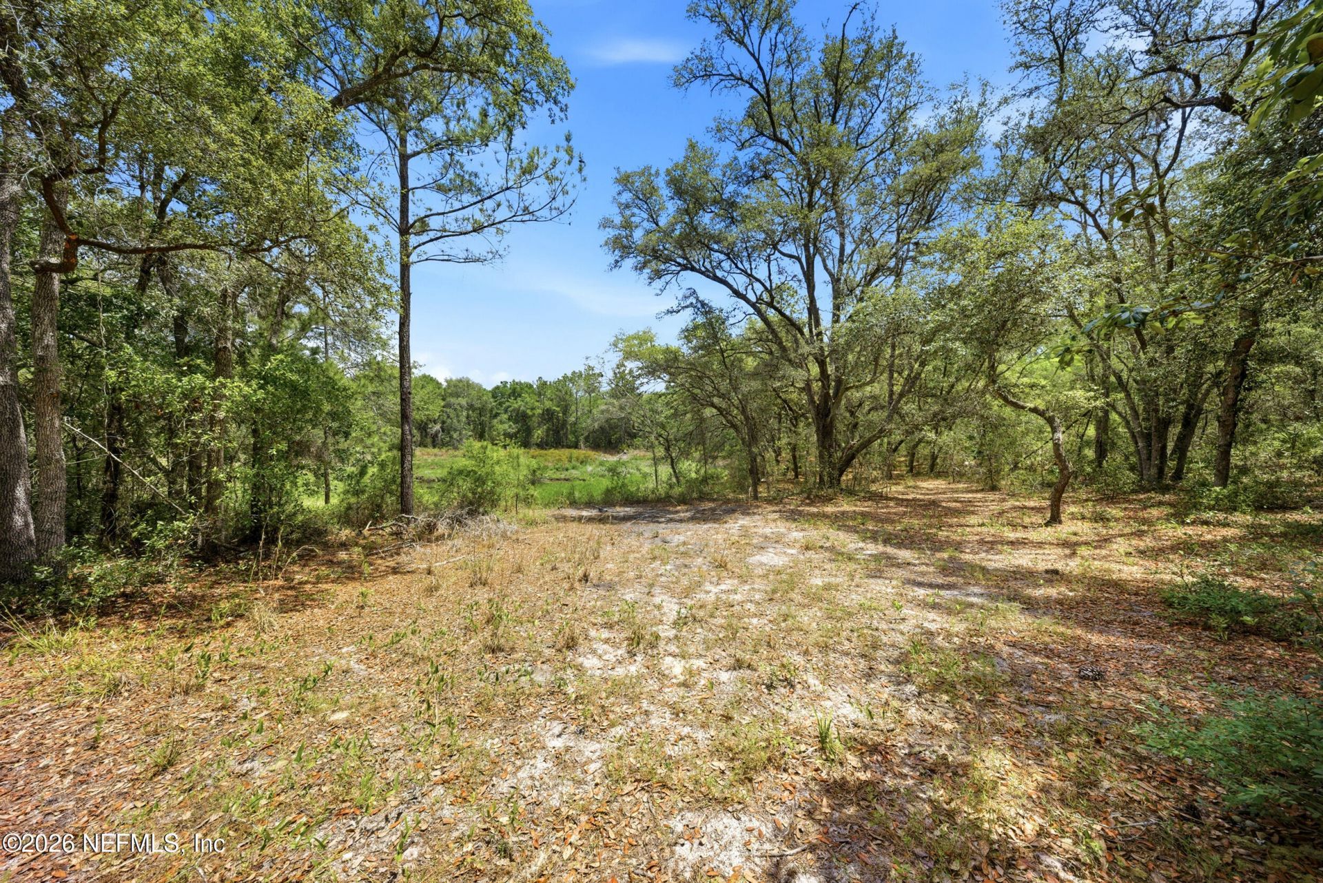 0 NE 115 Avenue Avenue, Fort Mccoy, FL 32134 Photo