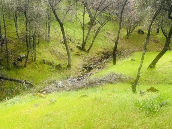 13095 Fox CT, Groveland, CA 95321
