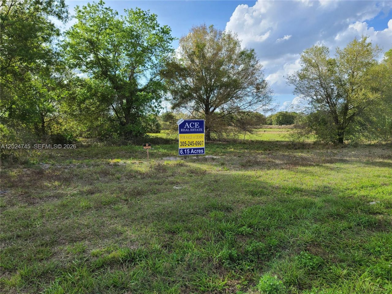 1527 N Highway 17, Unincorporated Dade County, FL 34266 Photo
