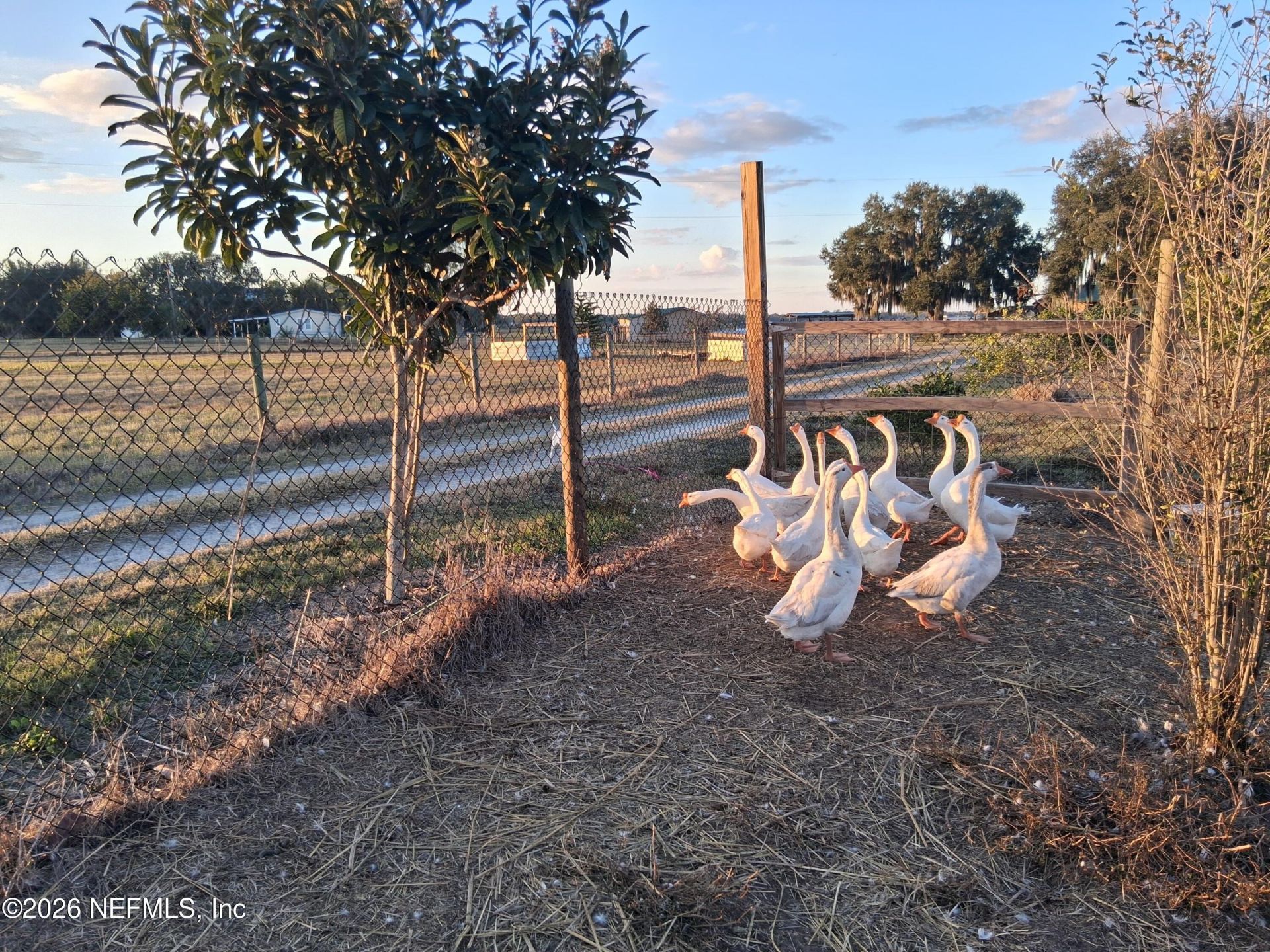 1302 Fort Meade Rd Road, Frostproof, FL 33843 Photo