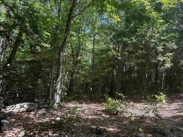 28 Sky Lane, Wolfeboro, NH 03894