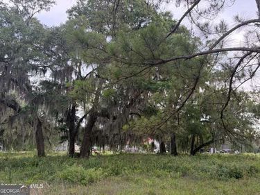 119 Sapelo Circle, Unit LOT #38, Darien, GA 31305
