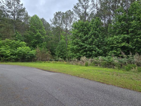 LOT 43 Loftis Mountain Way, Blairsville, GA 30512