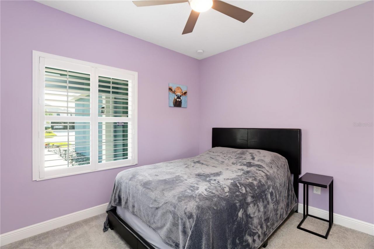 3410 Box Turtle Terrace , Parrish, FL 34219 Photo