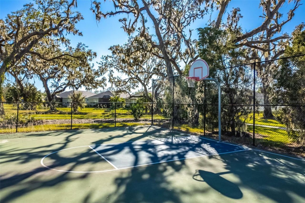3410 Box Turtle Terrace, Parrish, FL 34219 Photo