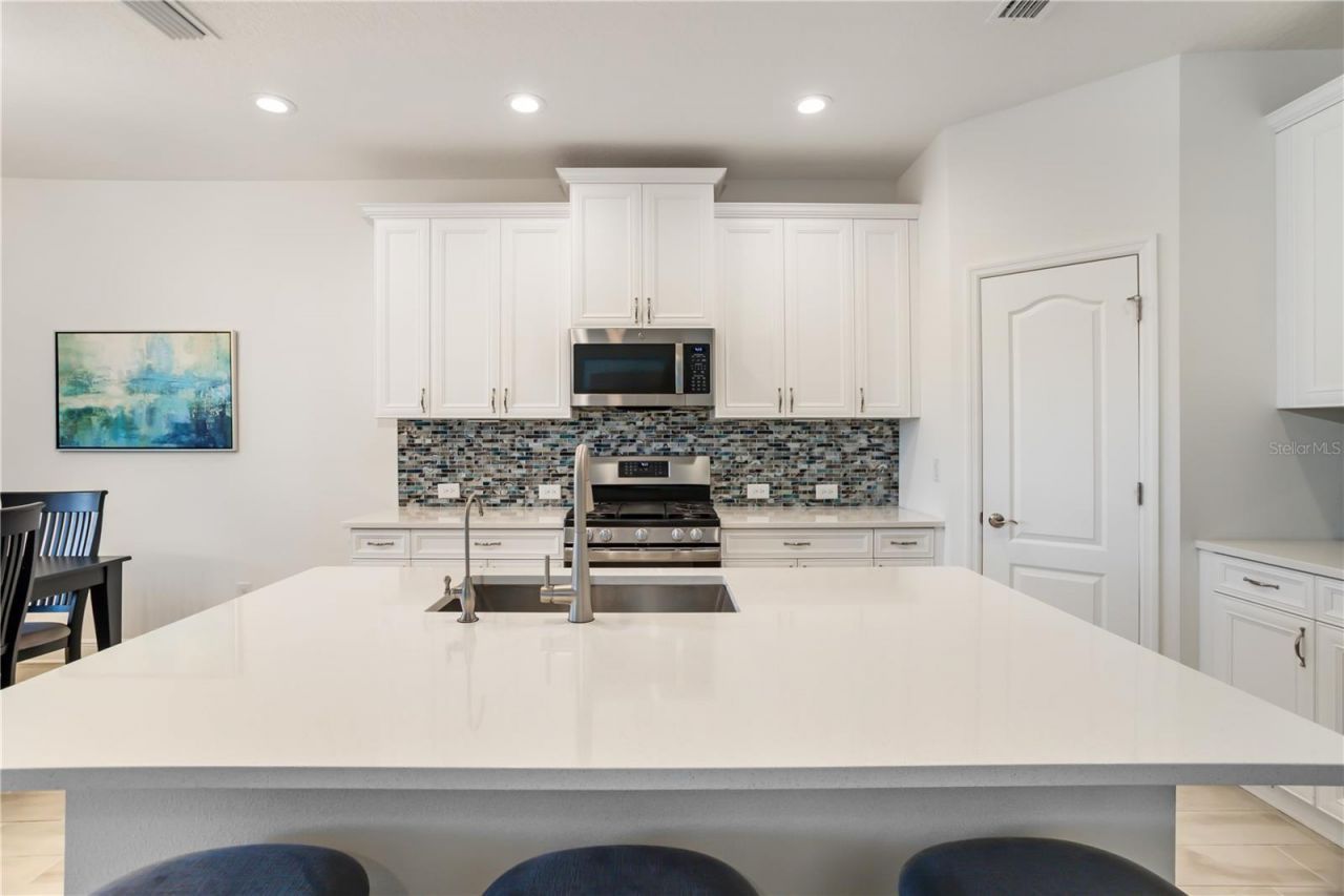 3410 Box Turtle Terrace , Parrish, FL 34219 Photo