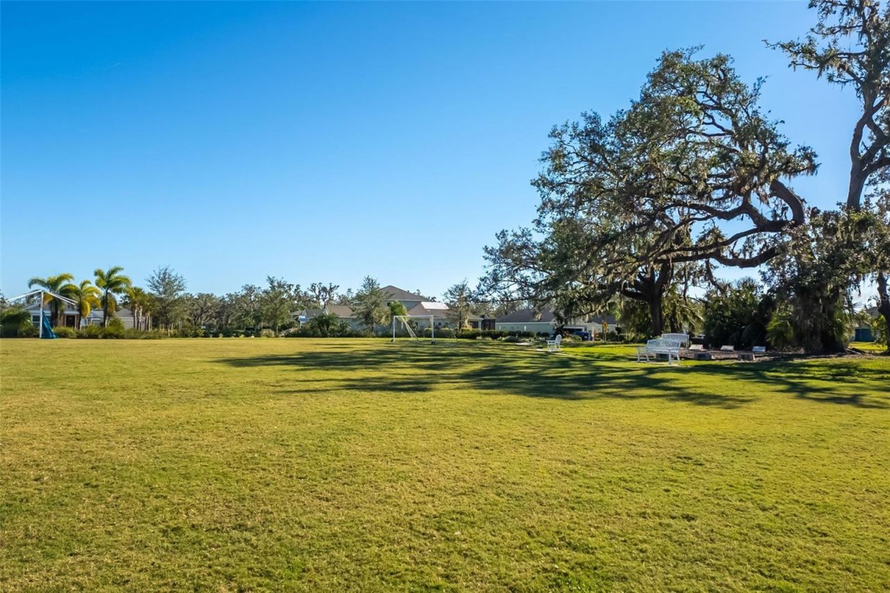 3410 Box Turtle Terrace, Parrish, FL 34219 Photo