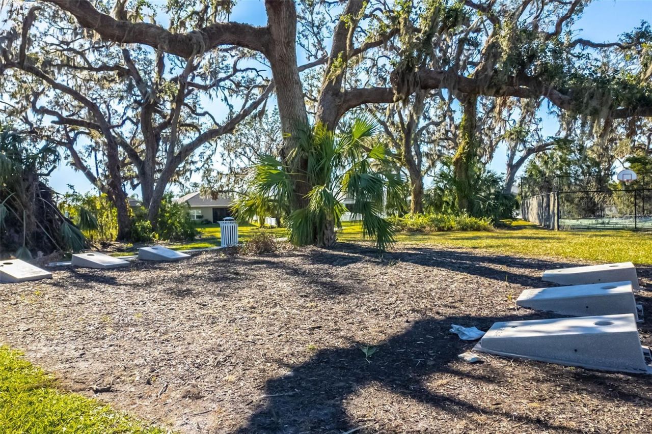 3410 Box Turtle Terrace, Parrish, FL 34219 Photo