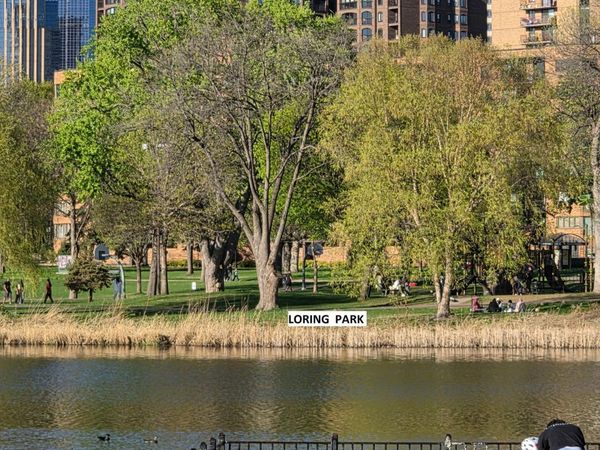 1235 Yale Place , Unit 1701, Minneapolis, MN 55403