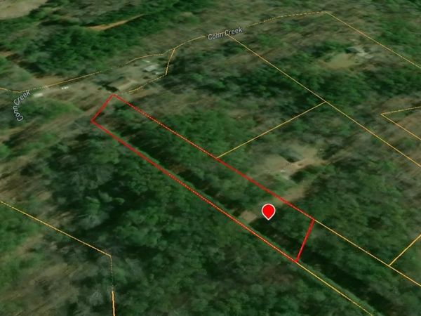 0 Reavis Road , Ball Ground, GA 30107