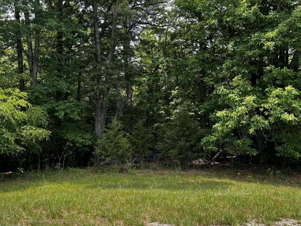 Lot 17 Riverfront DR , Glade Hill, VA 24092
