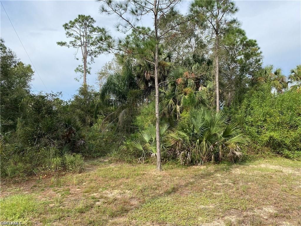 2905 Ashburn St , Lehigh Acres, FL 33972 Photo