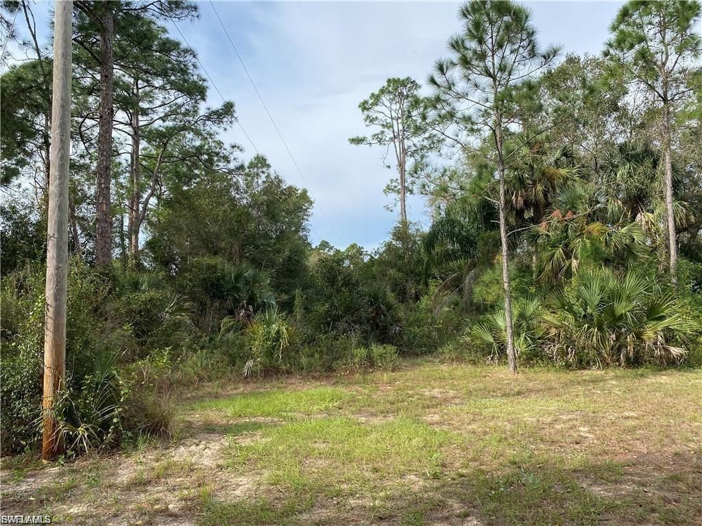 2905 Ashburn St , Lehigh Acres, FL 33972 Photo