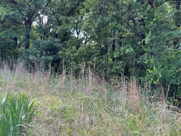 Lance Road, Davis, OK 73030