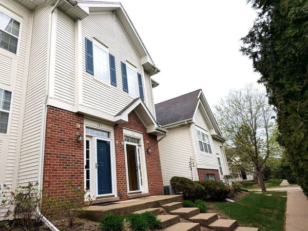 723 River Walk Drive, Unit 163, Wheeling, IL 60090